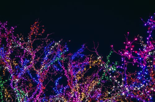 Christmas light installation in West Palm Beach