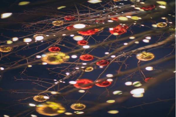 Holiday and Christmas light installation